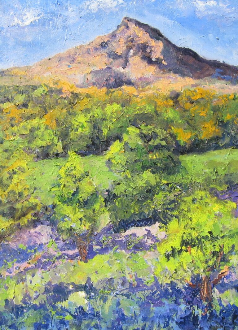 The texture of the foliage and heather contrast with the rugged bare mountain.