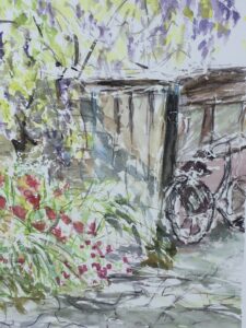 Summer flowers, sunshine realised through contrast dappled shadows